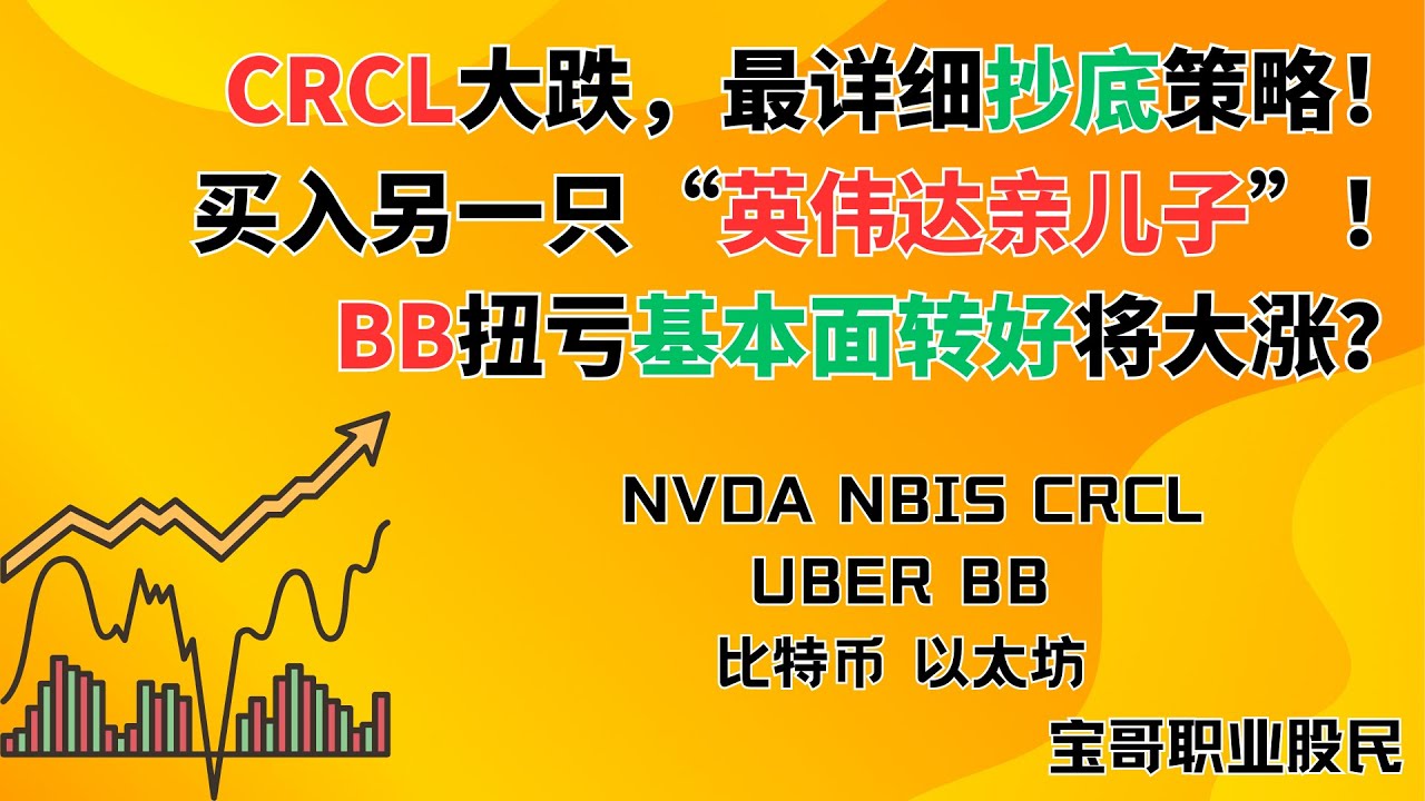 CRCL大跌，最详细抄底策略！买入另一只“英伟达亲儿子”！BB扭亏基本面转好将大涨？NVDA NBIS CRCL UBER BB 比特币 以太坊!  06242025 #美股投资 #crypto