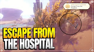 "One flew over the sick man's rest" Achievement | World Quests & Puzzles |【Genshin Impact】