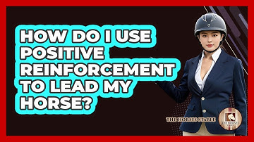 How Do I Use Positive Reinforcement To Lead My Horse?