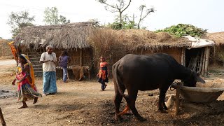 Amazing Village Lifestyle In Nepal || Traditional Lifestyle In Countryside #nepalivillagelife