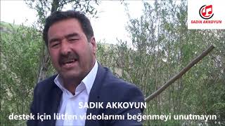 Dengbej Nadir Gırekome Kadi Gola Şewıti