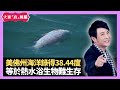 美國佛州海洋錄得38.44度 等於熱水浴生物難生存 朋友防疫鬆懈四出旅行 - LIVE 大家真瘋Show 梁思浩 李思蓓 Mandy 20230728 4K