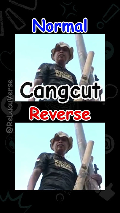 Hidup Cangcut (reverse subtitle) #shorts #reverse #lucu #memes