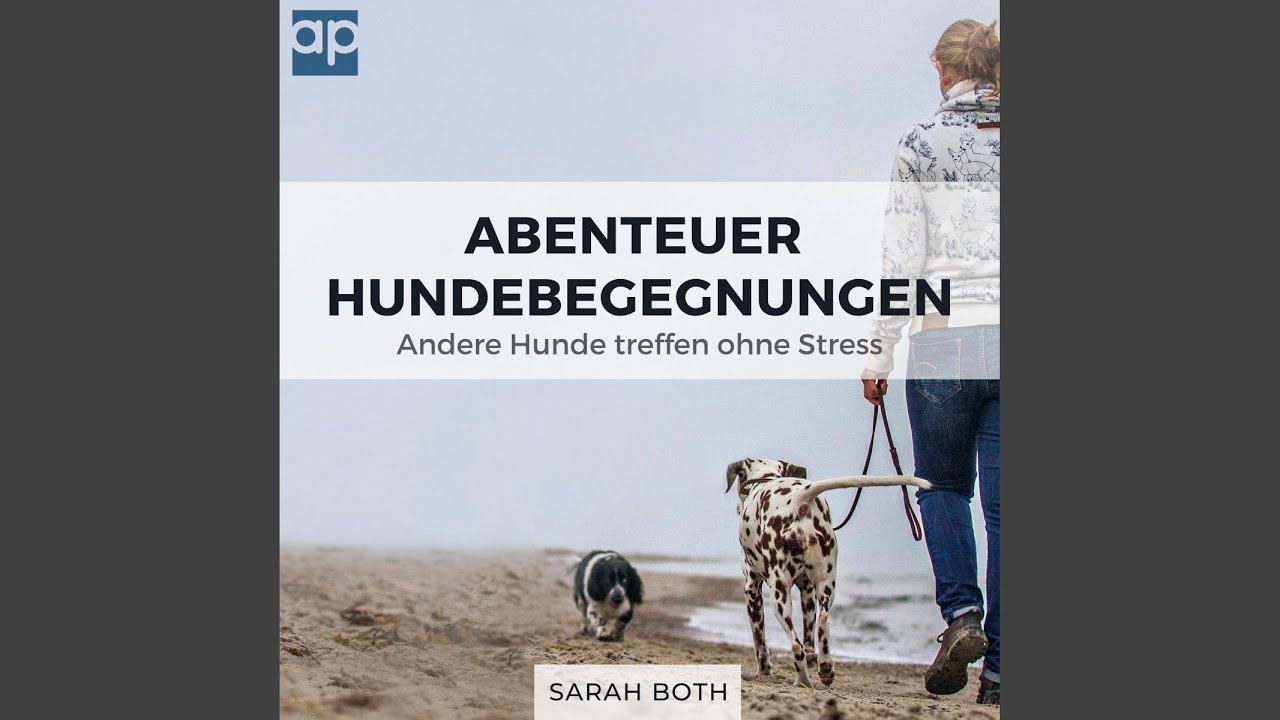 Managementmaßnahmen entwickeln - Plan A-X.8 - Abenteuer Hundebegegnungen