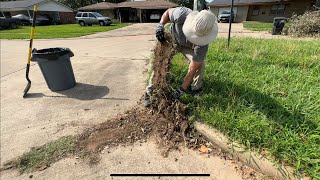 FREE OVERGROWN ISLAND Transformation for the NEIGHBORHOOD by TK Lawns 10,884 views 10 months ago 11 minutes, 29 seconds