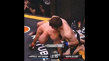 Мурад проиграл Бой Черкасову #попмма #нашедело