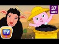 Baa Baa Black Sheep With Cutians | Nursery Rhymes & Cartoon Songs for Kids | ChuChu TV