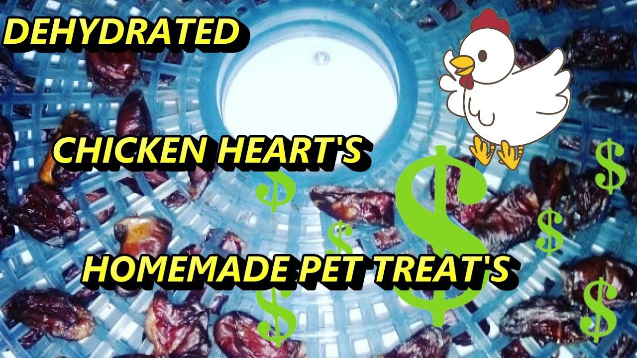 Homemade Dog Treat's Dehydrated Chicken Heart's YouTube