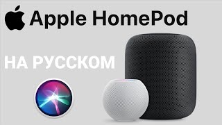HomePod на русском языке, умная колонка c Apple Siri лучше Яндекс Станции с Алисой