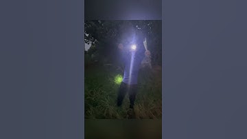 Dính không sót một con chuột nào hết #batchuotdong #baychuot #mientay #sanbat #chuột #shorts #vugom