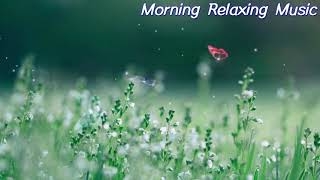 Relaxing Morning Music - Piano Music Background For Study, Yoga, Meditation