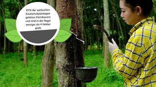 Naturlatexballons Sind Kein Plastik