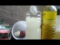 Homemade Insecticide for Plants (With English Subtitle)