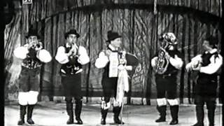 Video thumbnail of "AVSENIK 1959 Trompeten Echo & Feuerwehr Polka"