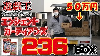 【エンシェント･ガーディアンズ】遊戯王エンシェントガーディアンズ デッキビルドパック 50万円分 236ボックス仕入れ！【デュエルモンスターズ】【カード仕入れ転売の稼ぐ方法】