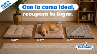 Buy your pet a bed so they can rest happily and you can reclaim your space. Buy your pet a bed so they can rest happily and you can reclaim your space.