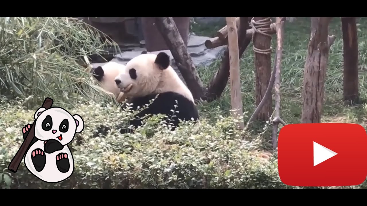 trip to wulongshan amusement park [উলংশান ঘুরে এলাম]