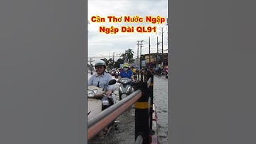 CẦN THƠ NƯỚC NGẬP TẠI QUỐC LỘ 91 quá trời nước năm nay lớn #shorts