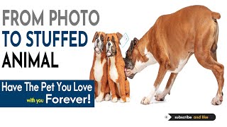 Cutest Custom Stuffed Animals of Your Pets | Petsies Stuffed Animals