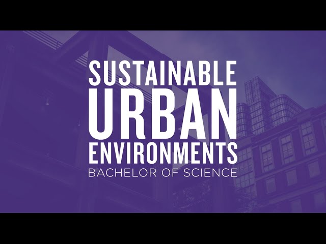 Major Insight: Sustainable Urban Environments class=