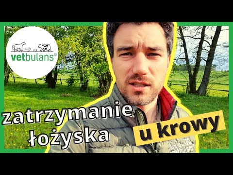 Wideo: Zakład Kirowski, St. Petersburg. Produkty Zakładu Kirowa