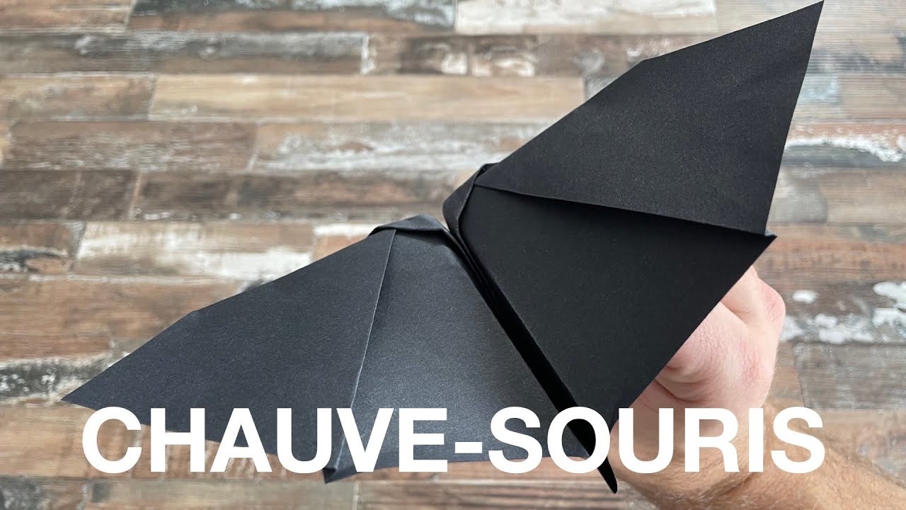 Avion En Papier Chauve Souris