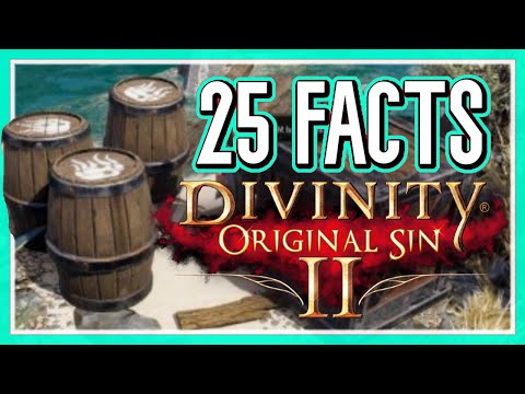 25 Interesting Facts You Didn't Know About Divinity: Original Sin 2!