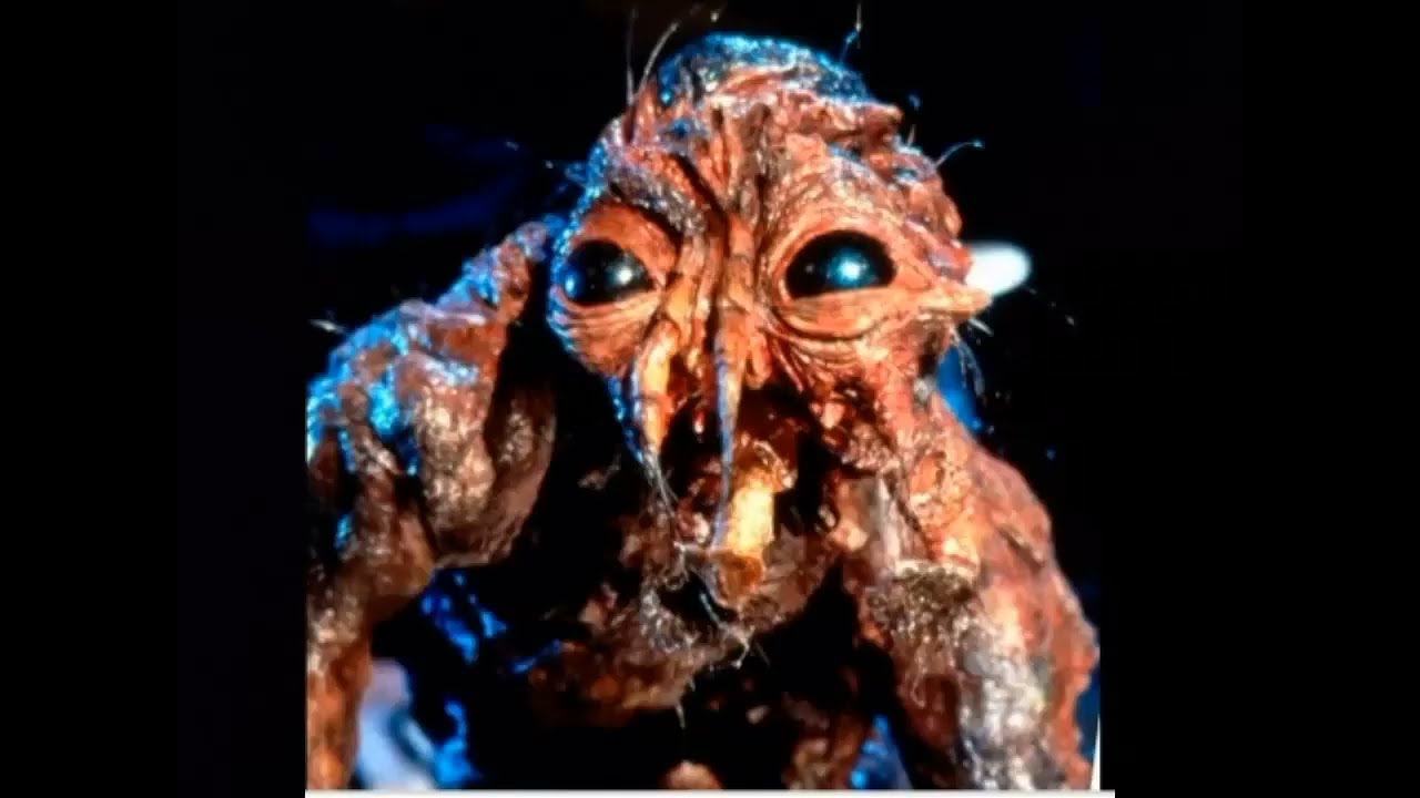 Monsters vs. Aliens: All Monster's Original Characters (With  Butterflyosaurus)