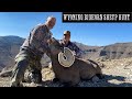 Wyoming Bighorn Sheep Hunt S2:EP1