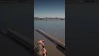 rdr2 varmint rifle reload