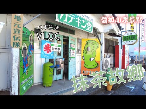 日本生活Vlog｜小眾景點西尾市半日遊/ 滿滿的抹茶甜點下午茶/ 茄汁蝦便當/ 超市購物紀錄