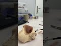 Silikon kozmetik burun protezi son detay çalışmaları 👃👃 iletişim:05524158812