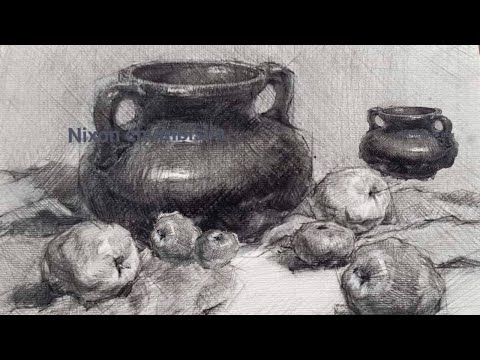 Vídeo: GALERÍA: Bodegones Y Dibujos A Carboncillo De Benjamin Shamback