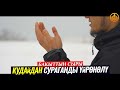 КУДАЙДАН СУРАГАНДЫ ҮЙРӨНӨЛҮ... БАКЫТТЫН СЫРЫ.   (зарыл сабак)  Шейх Чубак ажы