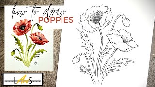 How to Draw a Realistic Poppy Flower! How to Draw! Poppy Flower! Poppy Drawing! Poppy Red Flower!