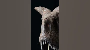 How Did Carnotaurus Herd Sound Like 