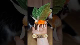 Pumpky the Autumn Moth  | Diy Fall Decor from Pipe Cleaner✨️🍂