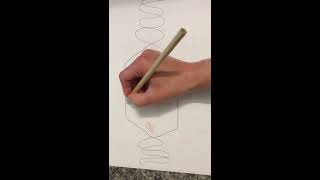 Kati Redman Genetics Exam 3-1: Prokaryotic Replication Fork