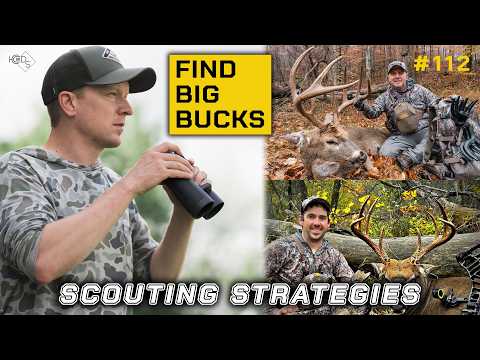 FIND a Big Buck NOW | Summer Scouting Strategies...