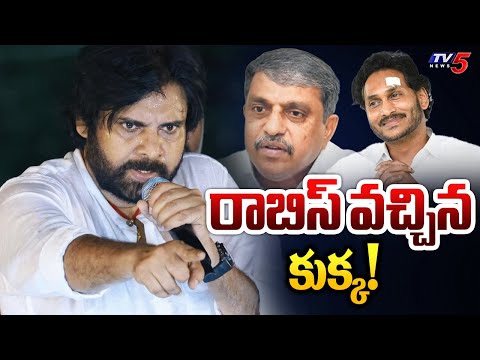 రాబిస్ వచ్చిన కుక్క | Pawan Kalyan Counters to YSRCP | Sajjala Ramakrishna Reddy | Jagan |  TV5 News - TV5NEWS