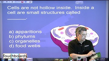 A Science Lesson With Qwizdom Q6 & Q7 Review