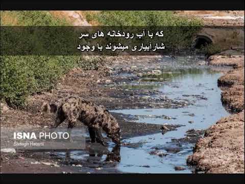 تصویری: مدت هاست که معانی ، مانند همه 