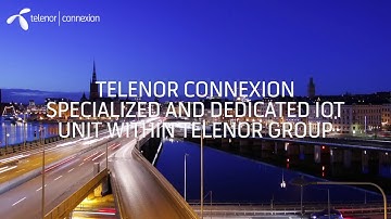 About Telenor Connexion