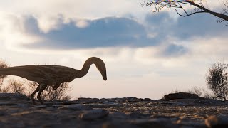 Coelophysis at Dawn