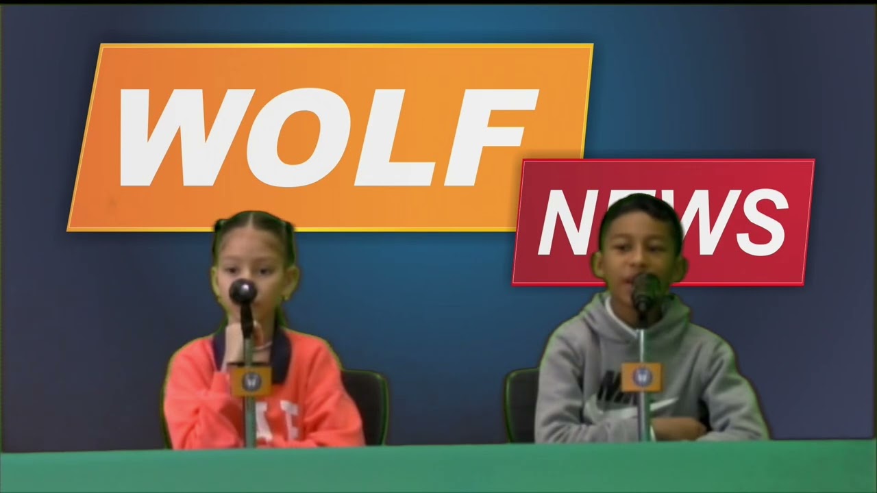 Wolf TV 02.27.2026