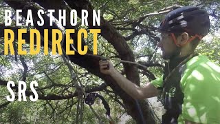 Beasthorn retrievable redirect for SRS tree climbing