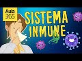 ¿Cómo funciona el Sistema Inmunológico? | Videos Educativos Aula365