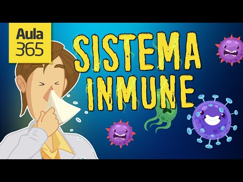 ¿Cómo funciona el Sistema Inmunológico? | Videos Educativos para Niños