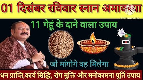 1 दिसंबर रविवार मार्गशीर्ष अमावस्या को करें 11 गेहूं के दाने वाला उपाय जरूर करें l pradeep ji mishra