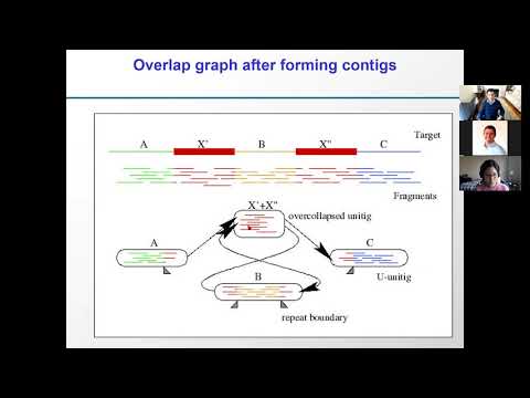 Video: Epidemiologie Moleculară, Variabilitate Genetică și Evoluția HTLV-1, Cu Accent Special Pe Genotipurile Africane